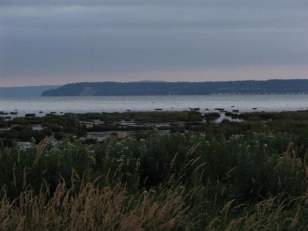 Members Random Picture Gallery Non Mustang Shots of Interest!-dcp-3919.jpg