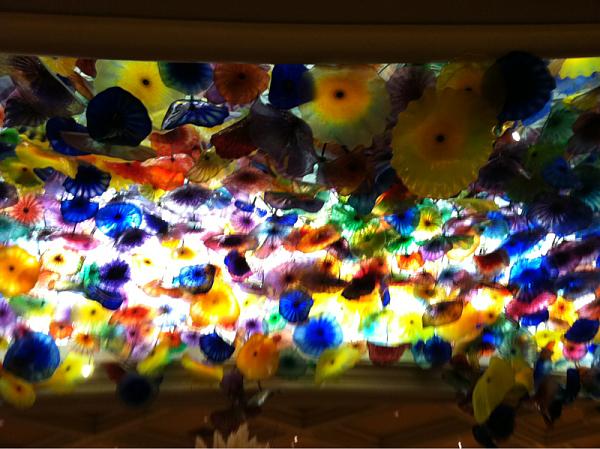 Members Random Picture Gallery Non Mustang Shots of Interest!-image-2402629633.jpg