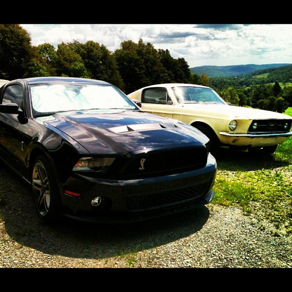 Members Random Picture Gallery Non Mustang Shots of Interest!-image-1755319315.jpg