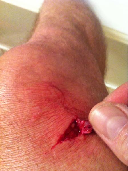 Huge Strange RANDOM Pictures and Idiocy Gallery!*-image-3947251359.jpg