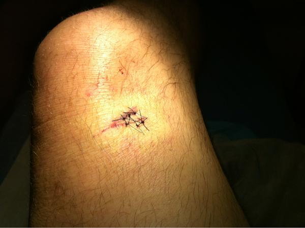 Huge Strange RANDOM Pictures and Idiocy Gallery!*-image-1988519354.jpg