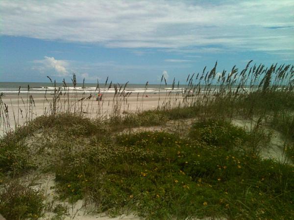 Huge Strange RANDOM Pictures and Idiocy Gallery!*-image-392455206.jpg