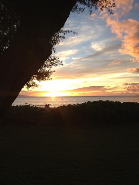 Members Random Picture Gallery Non Mustang Shots of Interest!-image-2747012695.jpg