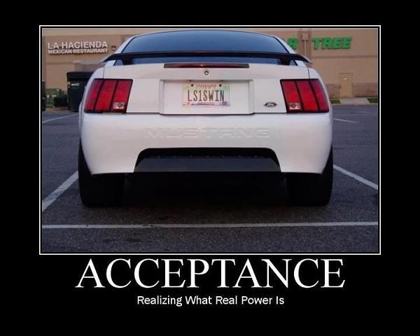 Huge Strange RANDOM Pictures and Idiocy Gallery!*-image-3547385192.jpg