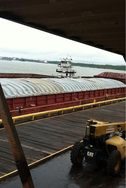 Huge Strange RANDOM Pictures and Idiocy Gallery!*-image-2302582605.jpg