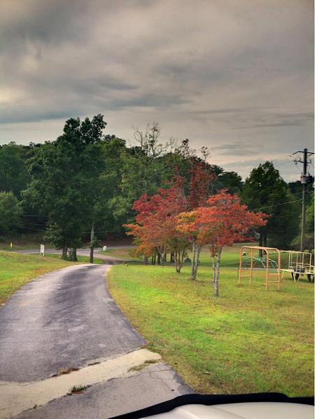 Members Random Picture Gallery Non Mustang Shots of Interest!-image-3769336797.jpg