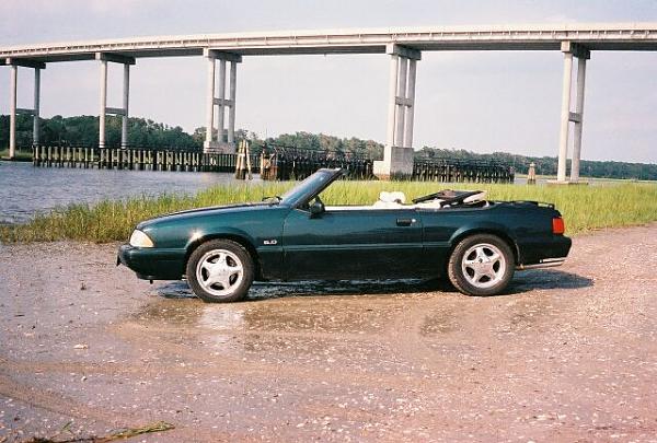 Post Pics of your Magazine Worthy Pics-old-pc-backup-d-drive-13113.jpg