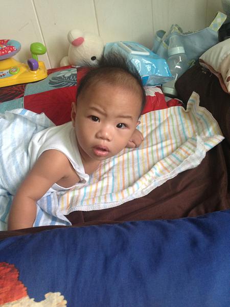 Huge Strange RANDOM Pictures and Idiocy Gallery!*-image-1986746480.jpg