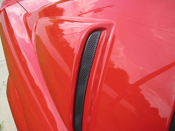 Post Pics of your Magazine Worthy Pics-113.jpg