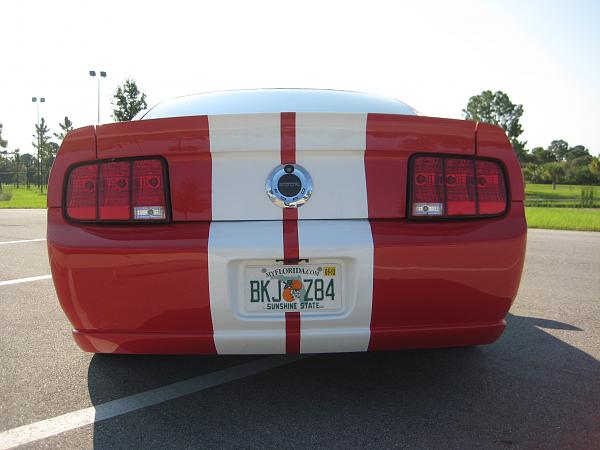 Post Pics of your Magazine Worthy Pics-120.jpg