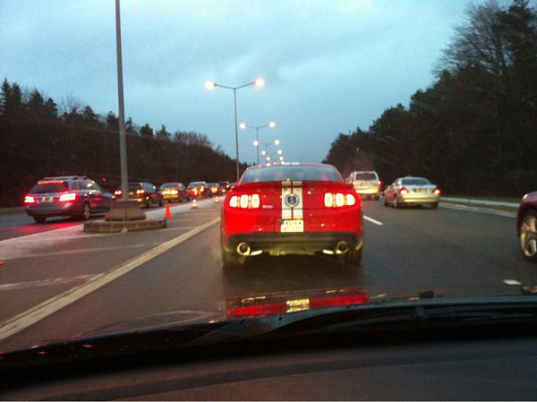 Huge Strange RANDOM Pictures and Idiocy Gallery!*-image-1732900627.jpg