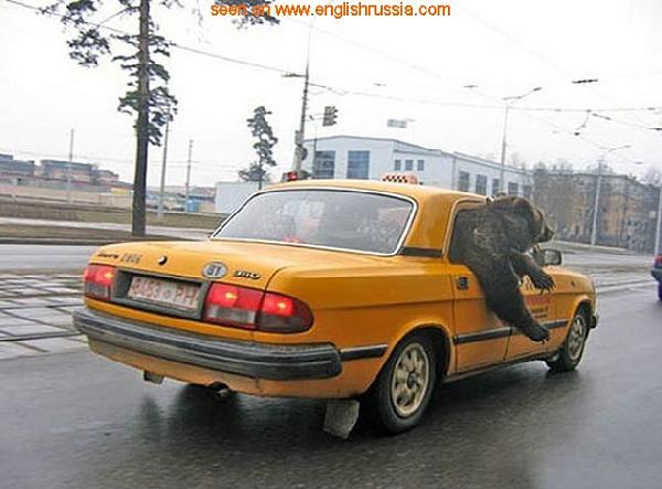 Huge Strange RANDOM Pictures and Idiocy Gallery!-scott_in_russia.jpg