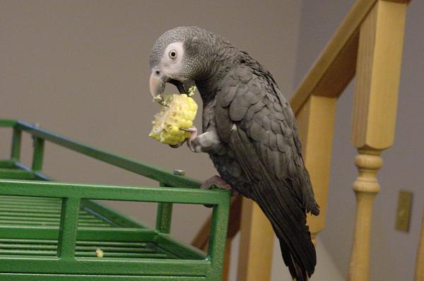 Huge Strange RANDOM Pictures and Idiocy Gallery!*-dsc00416.jpg