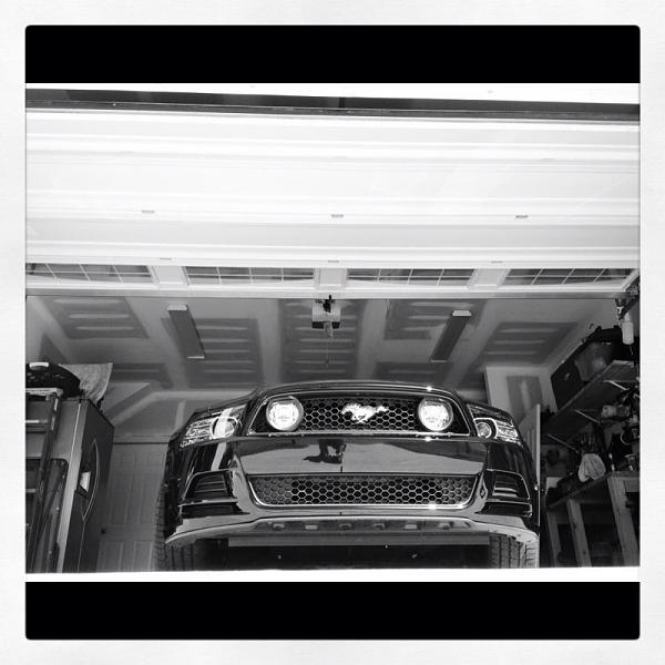 Post Pics of your Magazine Worthy Pics-image-47234069.jpg