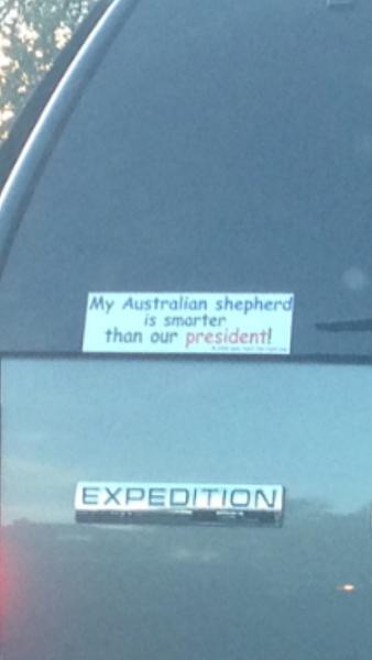 Huge Strange RANDOM Pictures and Idiocy Gallery!*-image-883257067.jpg