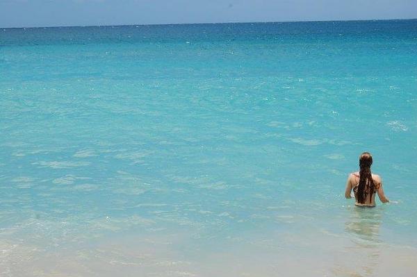 Huge Strange RANDOM Pictures and Idiocy Gallery!*-image-1481086560.jpg