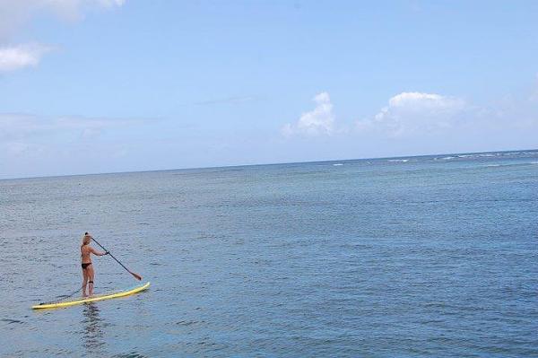 Huge Strange RANDOM Pictures and Idiocy Gallery!*-image-2595210559.jpg