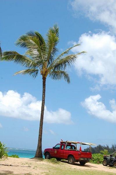 Huge Strange RANDOM Pictures and Idiocy Gallery!*-image-1365759958.jpg