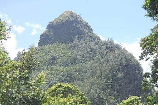 Huge Strange RANDOM Pictures and Idiocy Gallery!*-image-3159823414.jpg