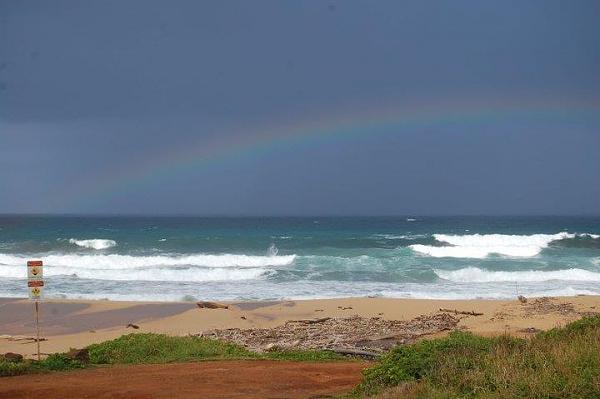 Huge Strange RANDOM Pictures and Idiocy Gallery!*-image-1094100170.jpg