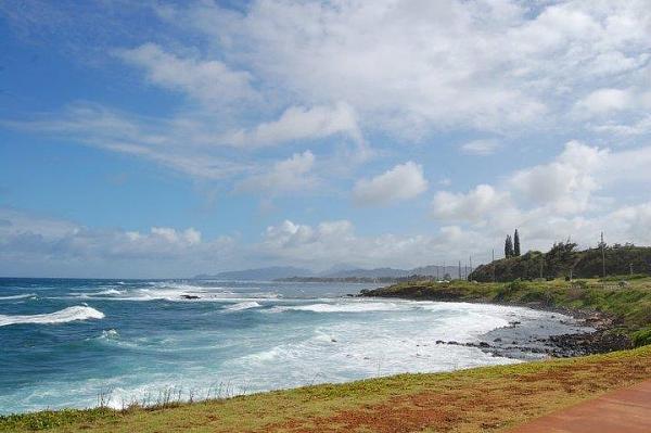 Huge Strange RANDOM Pictures and Idiocy Gallery!*-image-428394274.jpg