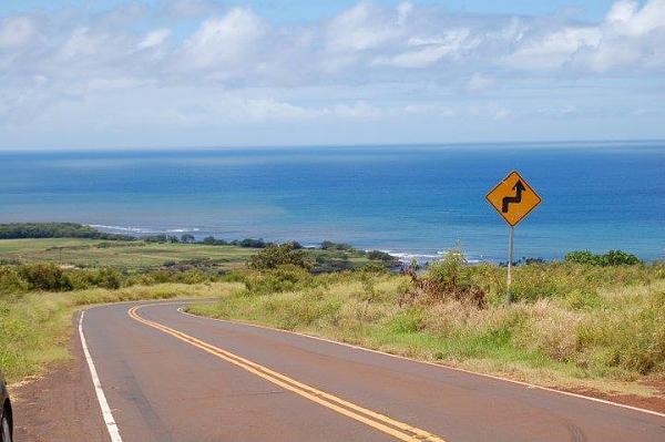 Huge Strange RANDOM Pictures and Idiocy Gallery!*-image-1067460284.jpg