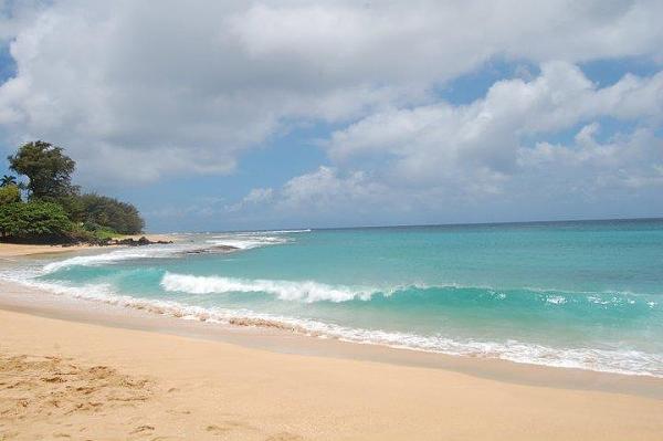 Huge Strange RANDOM Pictures and Idiocy Gallery!*-image-2564962070.jpg