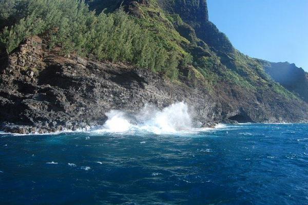 Huge Strange RANDOM Pictures and Idiocy Gallery!*-image-846664262.jpg