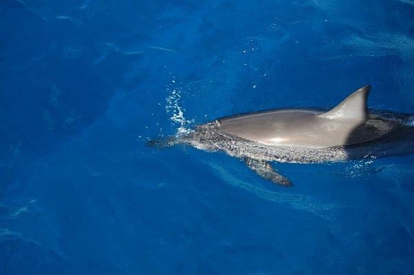 Huge Strange RANDOM Pictures and Idiocy Gallery!*-image-510506015.jpg