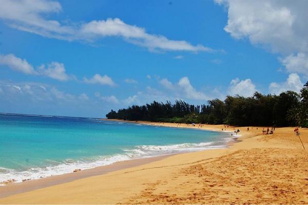 Huge Strange RANDOM Pictures and Idiocy Gallery!*-image-3718347729.jpg