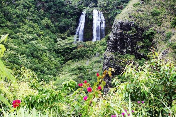 Huge Strange RANDOM Pictures and Idiocy Gallery!*-image-890239879.jpg