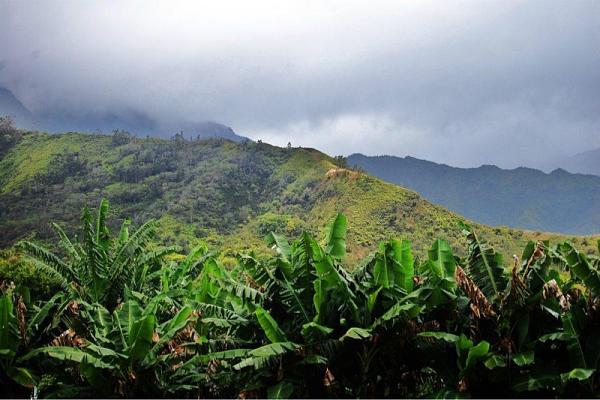 Huge Strange RANDOM Pictures and Idiocy Gallery!*-image-4040418074.jpg