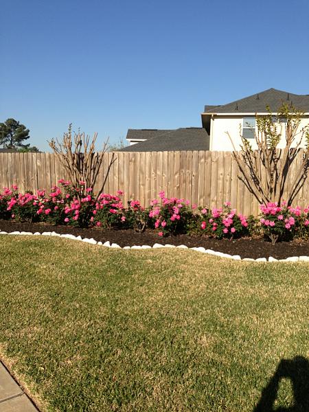 Huge Strange RANDOM Pictures and Idiocy Gallery!*-image-2411051741.jpg