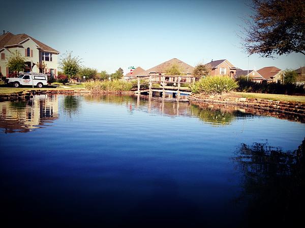 Huge Strange RANDOM Pictures and Idiocy Gallery!*-image-1343861527.jpg