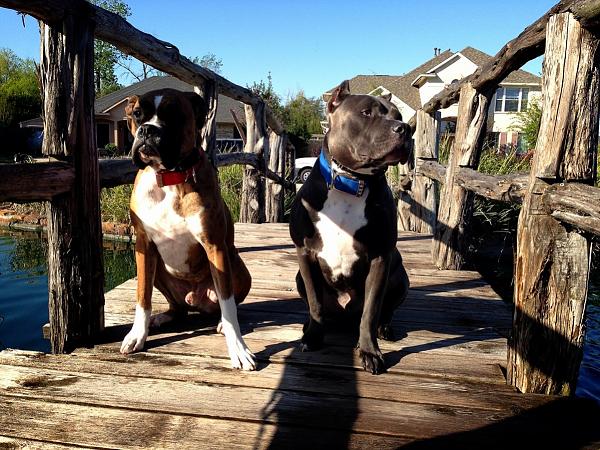 Huge Strange RANDOM Pictures and Idiocy Gallery!*-image-4005026191.jpg