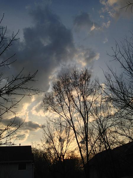 Huge Strange RANDOM Pictures and Idiocy Gallery!*-image-950359541.jpg