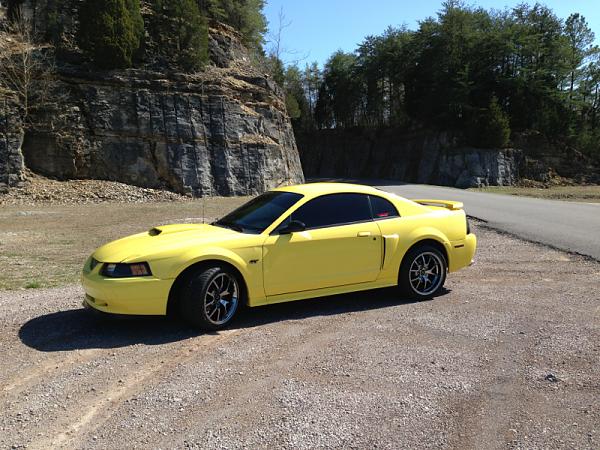 Every Mustang you have had in your life.....-image-1735123046.jpg