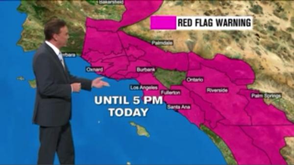 Huge Strange RANDOM Pictures and Idiocy Gallery!*-image-3586357529.jpg