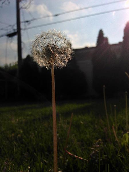 Members Random Picture Gallery Non Mustang Shots of Interest!-image-2808681983.jpg