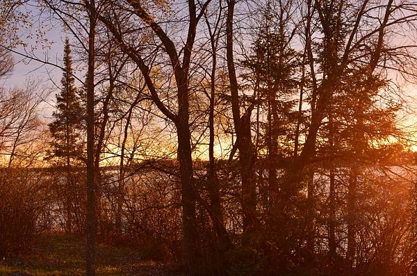 Members Random Picture Gallery Non Mustang Shots of Interest!-7805_626455077382838_177200520_n.jpg