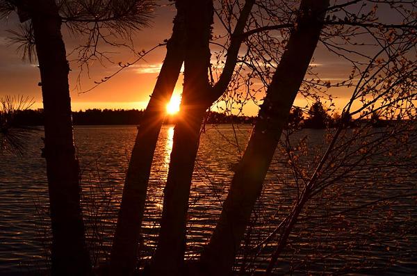 Members Random Picture Gallery Non Mustang Shots of Interest!-600654_626454960716183_1453386628_n.jpg