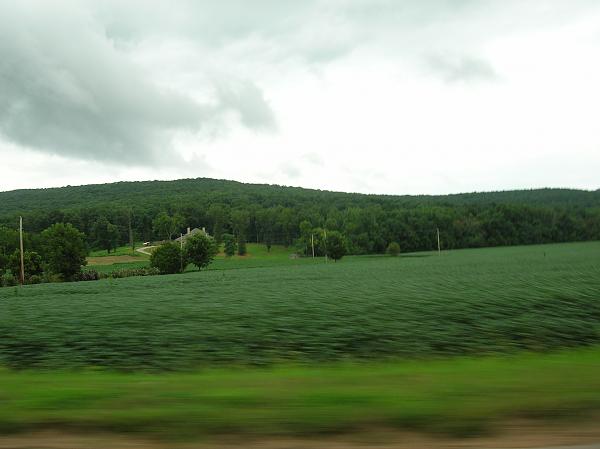 Members Random Picture Gallery Non Mustang Shots of Interest!-dscn3336.jpg