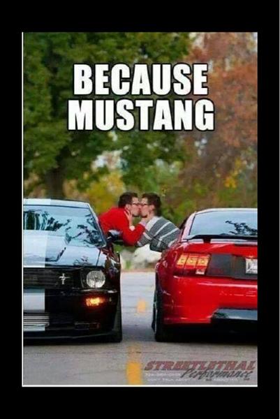 Post your favorite picture of your Mustang-image-961152609.jpg