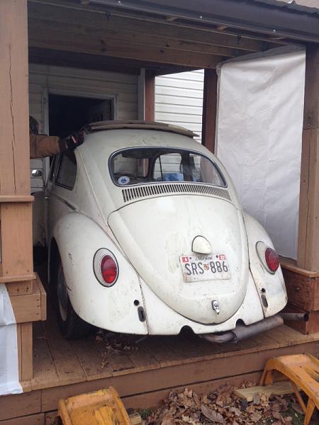 Huge Strange RANDOM Pictures and Idiocy Gallery!*-image-4076662601.jpg