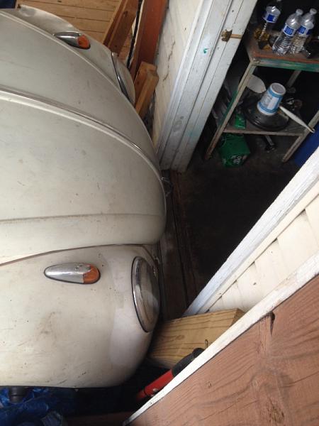 Huge Strange RANDOM Pictures and Idiocy Gallery!*-image-3227740469.jpg