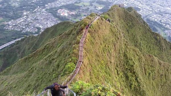 Huge Strange RANDOM Pictures and Idiocy Gallery!*-image-1767207377.jpg