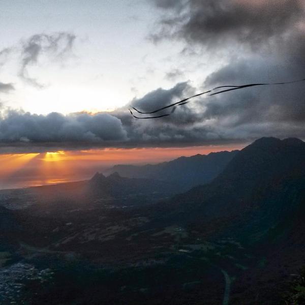 Huge Strange RANDOM Pictures and Idiocy Gallery!*-image-1492440149.jpg