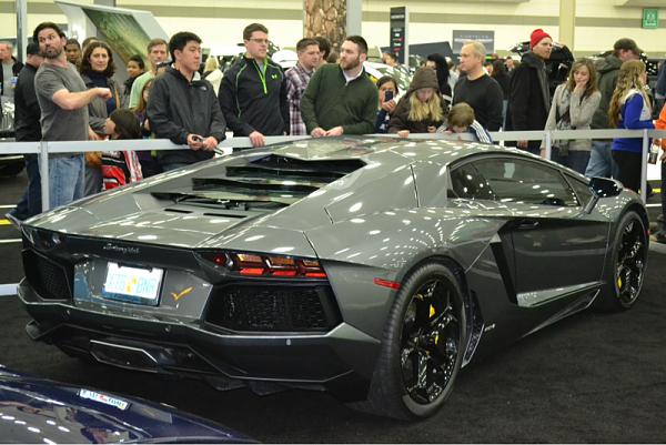 Huge Strange RANDOM Pictures and Idiocy Gallery!*-image-912806394.jpg