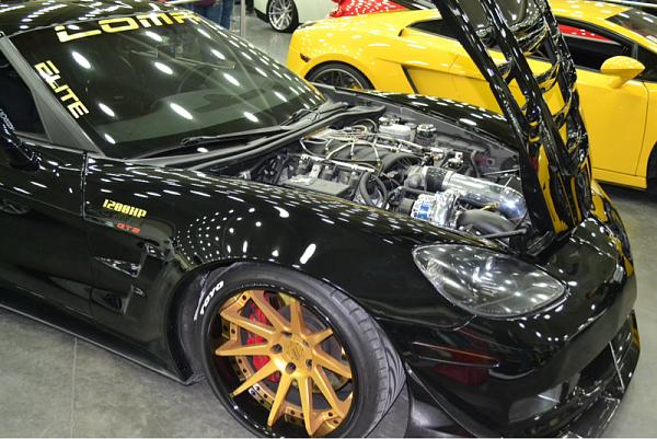 Huge Strange RANDOM Pictures and Idiocy Gallery!*-image-1208058009.jpg