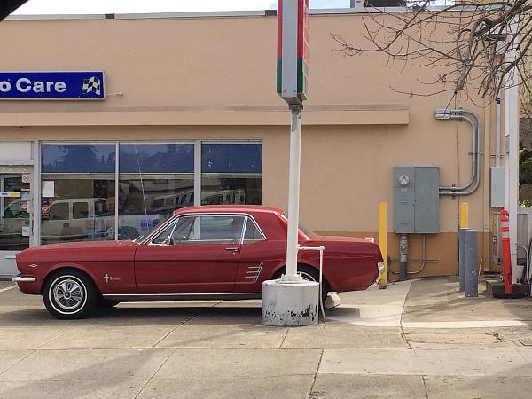 Huge Strange RANDOM Pictures and Idiocy Gallery!*-image-2614952412.jpg